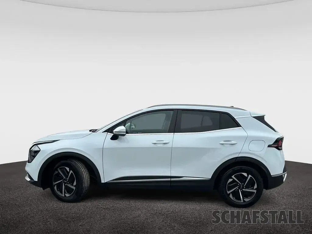 Gebraucht Kia Sportage Comfort 160 PS (117 kW) 2025 Weiss (casa white) SUV