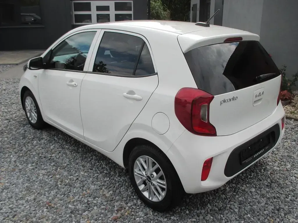 Gebraucht Kia Picanto Vision 84 PS (61 kW) 2023 Weiß Kleinwagen