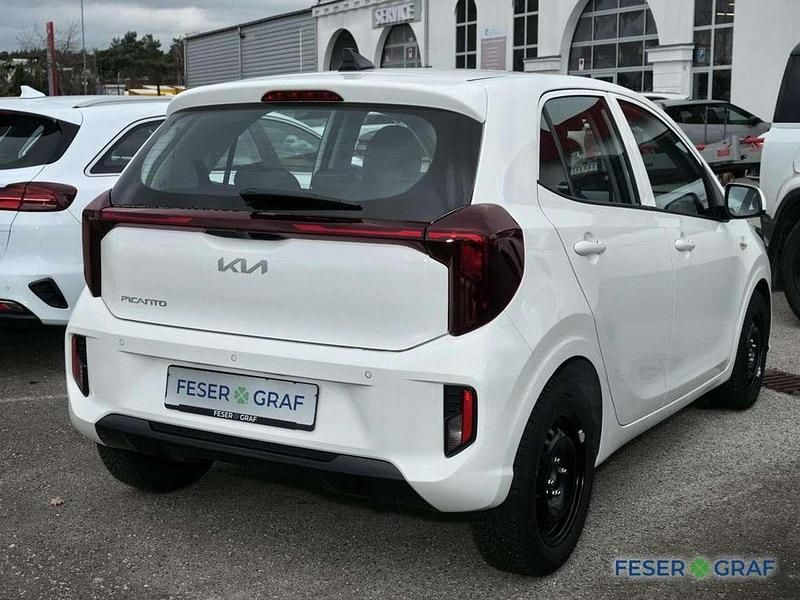 Gebraucht Kia Picanto Vision 63 PS (46 kW) 2025 Schneeweiss Kleinwagen