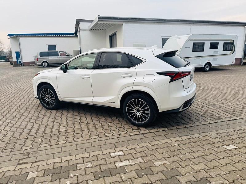 Gebraucht Lexus NX300h 197 PS (144 kW) 2021 Weiß SUV