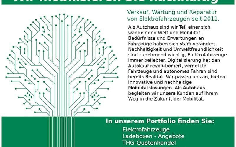 Gebraucht Renault Zoe Life 80 kW (109 PS) 2021 Rot Kleinwagen