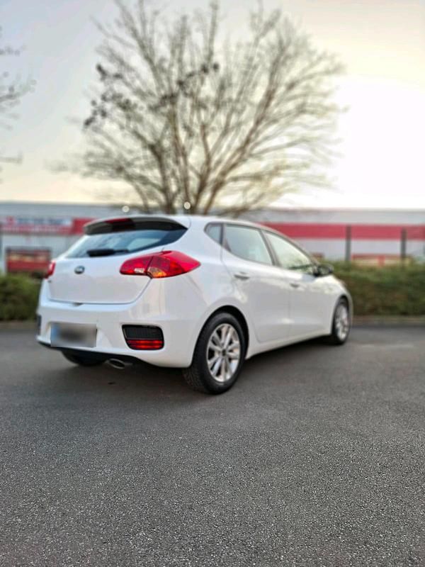 Gebraucht Kia Ceed 100 PS (73 kW) 2016 Weiß Kleinwagen