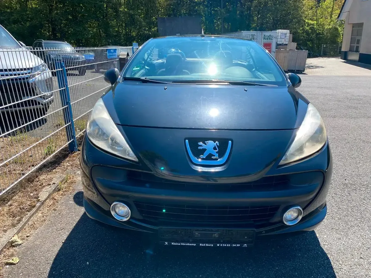 Gebraucht Peugeot 207 Filou 120 PS (88 kW) 2009 Farbe schwarz obsidien/met Cabrio