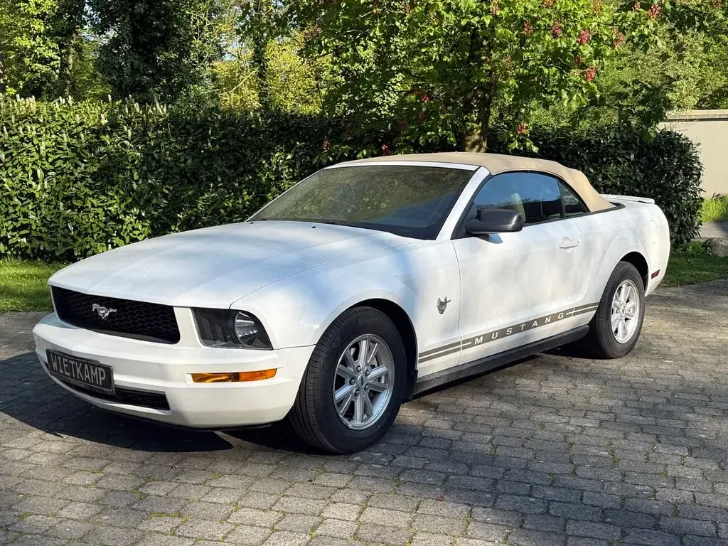 Gebraucht Ford Mustang 213 PS (156 kW) 2008 Weiß Cabrio
