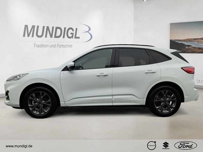 Gebraucht Ford Kuga ST-Line X 152 PS (111 kW) 2023 Weiß SUV