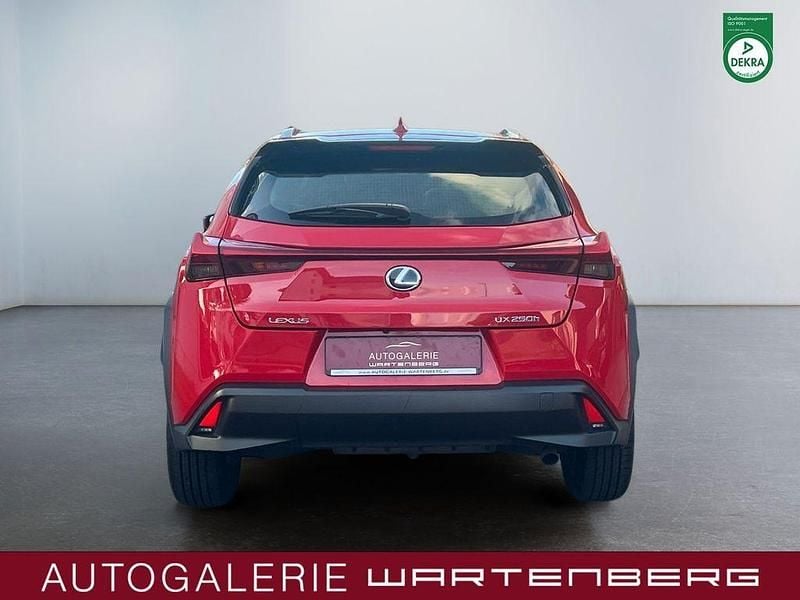 Gebraucht Lexus UX 250h Launch Edition 145 PS (106 kW) 2019 Rot SUV
