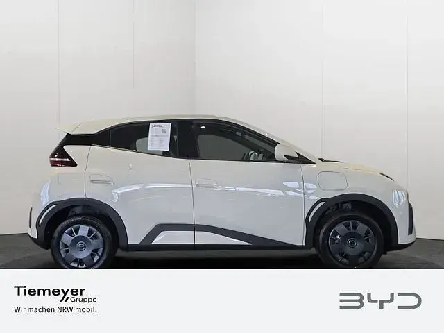 Neu BYD Dolphin Surf Active 64 kW (88 PS) 2026 Weiß Kleinwagen
