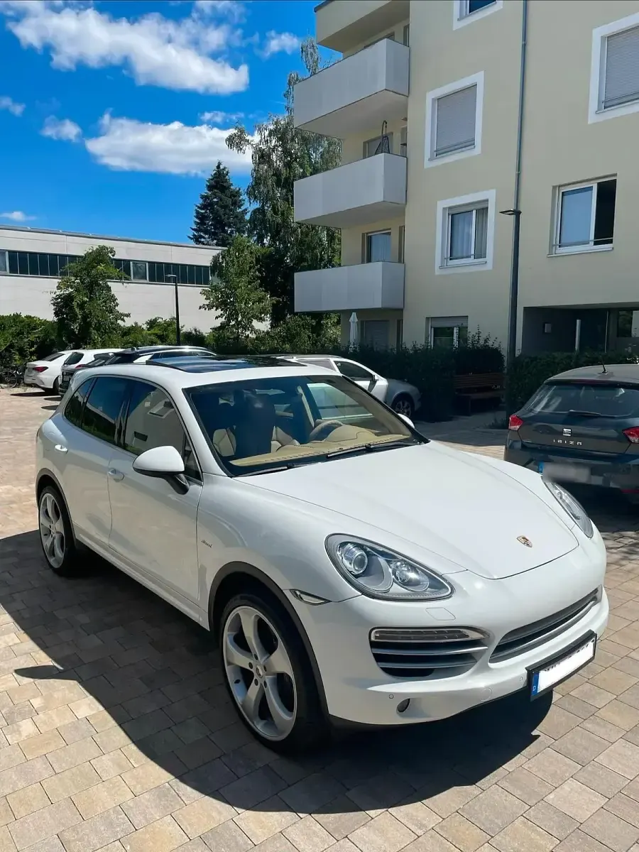 Gebraucht Porsche Cayenne Platinum Edition 245 PS (180 kW) 2014 Weiß SUV