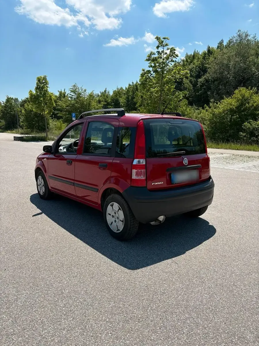 Gebraucht Fiat Panda 55 PS (40 kW) 2009 Rot Kleinwagen