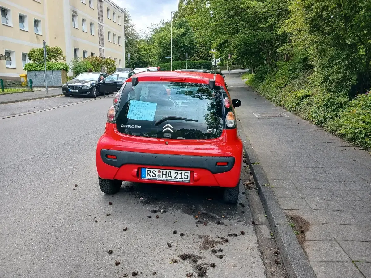 Gebraucht Citroën C1 68 PS (50 kW) 2006 Rot Kleinwagen