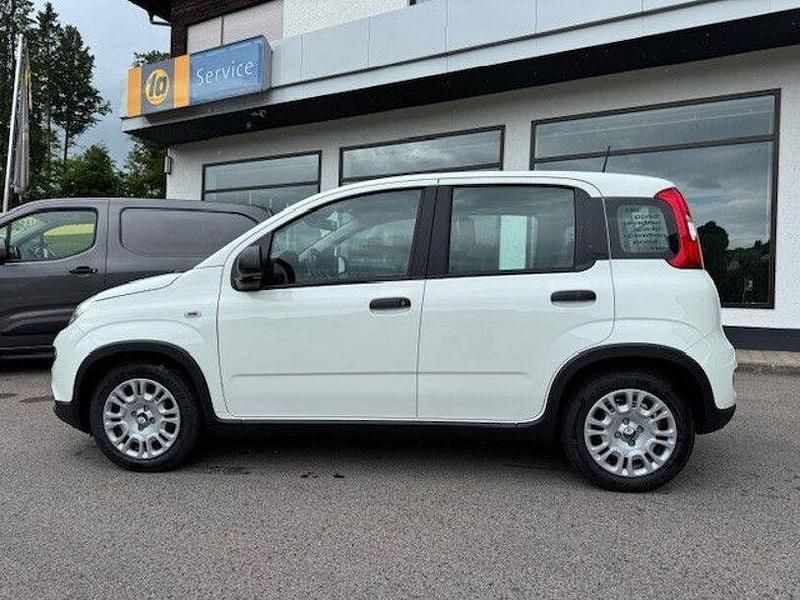 Weiss Gebraucht 2025 Fiat Panda Kleinwagen | 13.990 € (Fairer Preis) - Bild 1/4
