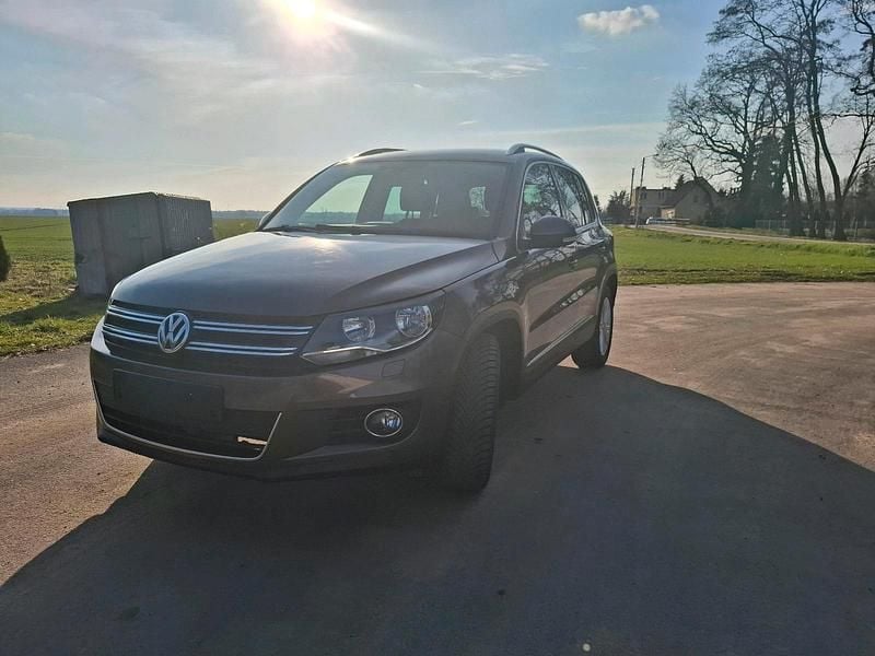 Gebraucht VW Tiguan 115 PS (84 kW) 2014 Gold SUV