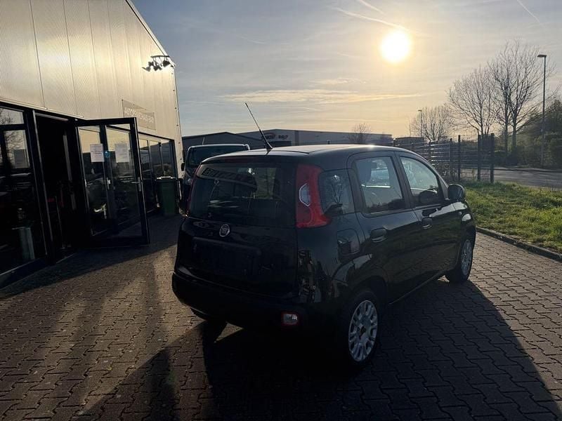 Gebraucht Fiat Panda Easy 69 PS (50 kW) 2016 Schwarz Kleinwagen