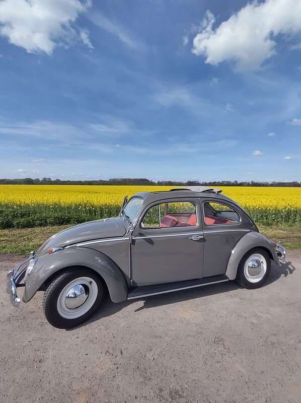 Grau Gebraucht 1963 VW Käfer Kleinwagen | 24.900 € - Bild 1/4