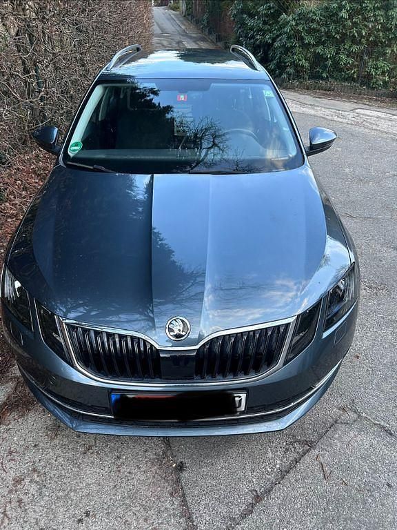 Gebraucht Skoda Octavia Style 116 PS (85 kW) 2019 Grau Kombi