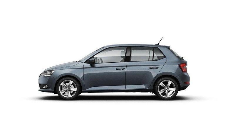 Gebraucht Skoda Fabia Cool Plus 60 PS (44 kW) 2019 Grau Kleinwagen