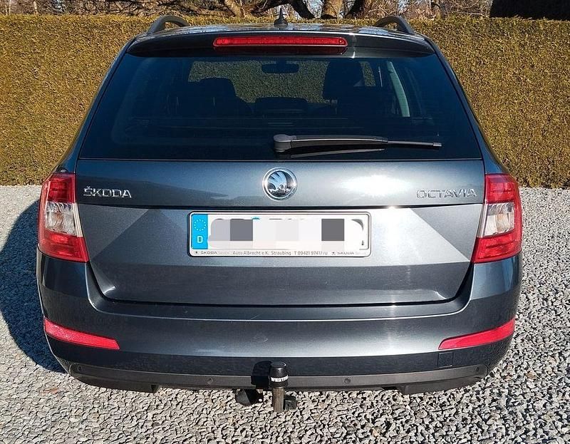 Gebraucht Skoda Octavia Drive 150 PS (110 kW) 2017 Andere farben Kombi