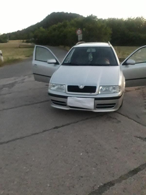 Silber Gebraucht 2002 Skoda Octavia Kombi | 850 € (Fairer Preis) - Bild 1/4
