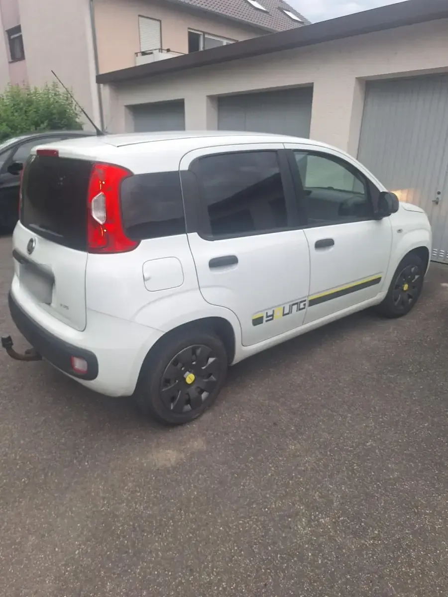 Gebraucht Fiat Panda Young 2014 Weiß Kleinwagen