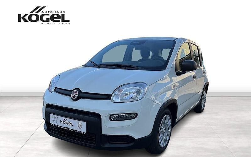 Weiß (gelato weiss) Neu 2024 Fiat Panda Kleinwagen | 14.490 € (Fairer Preis) - Bild 1/4