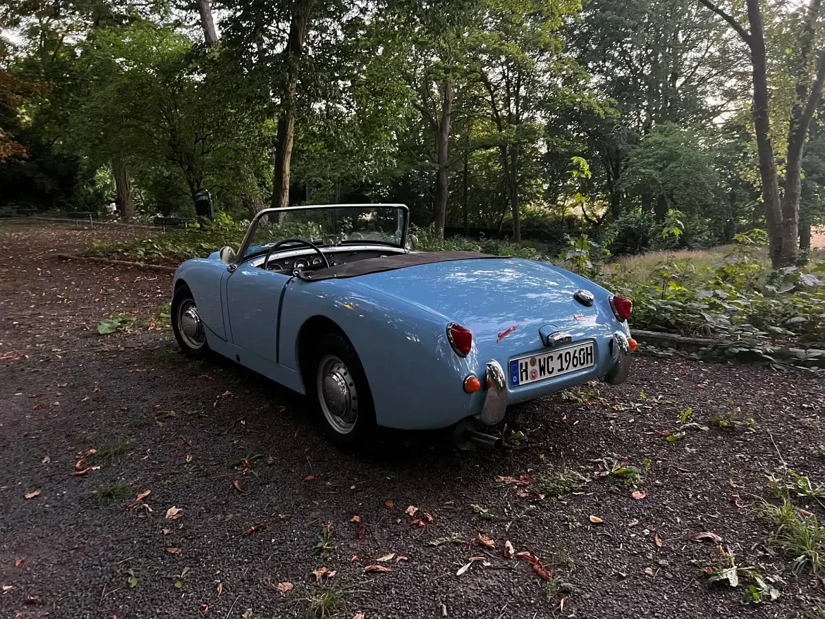 Gebraucht Austin Healey Sprite 65 PS (47 kW) 1960 Blau Cabrio