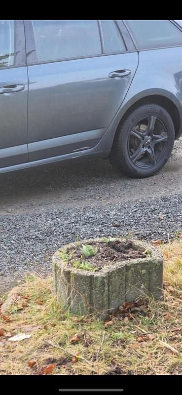 Gebraucht Skoda Octavia 150 PS (110 kW) 2016 Grau Kleinwagen