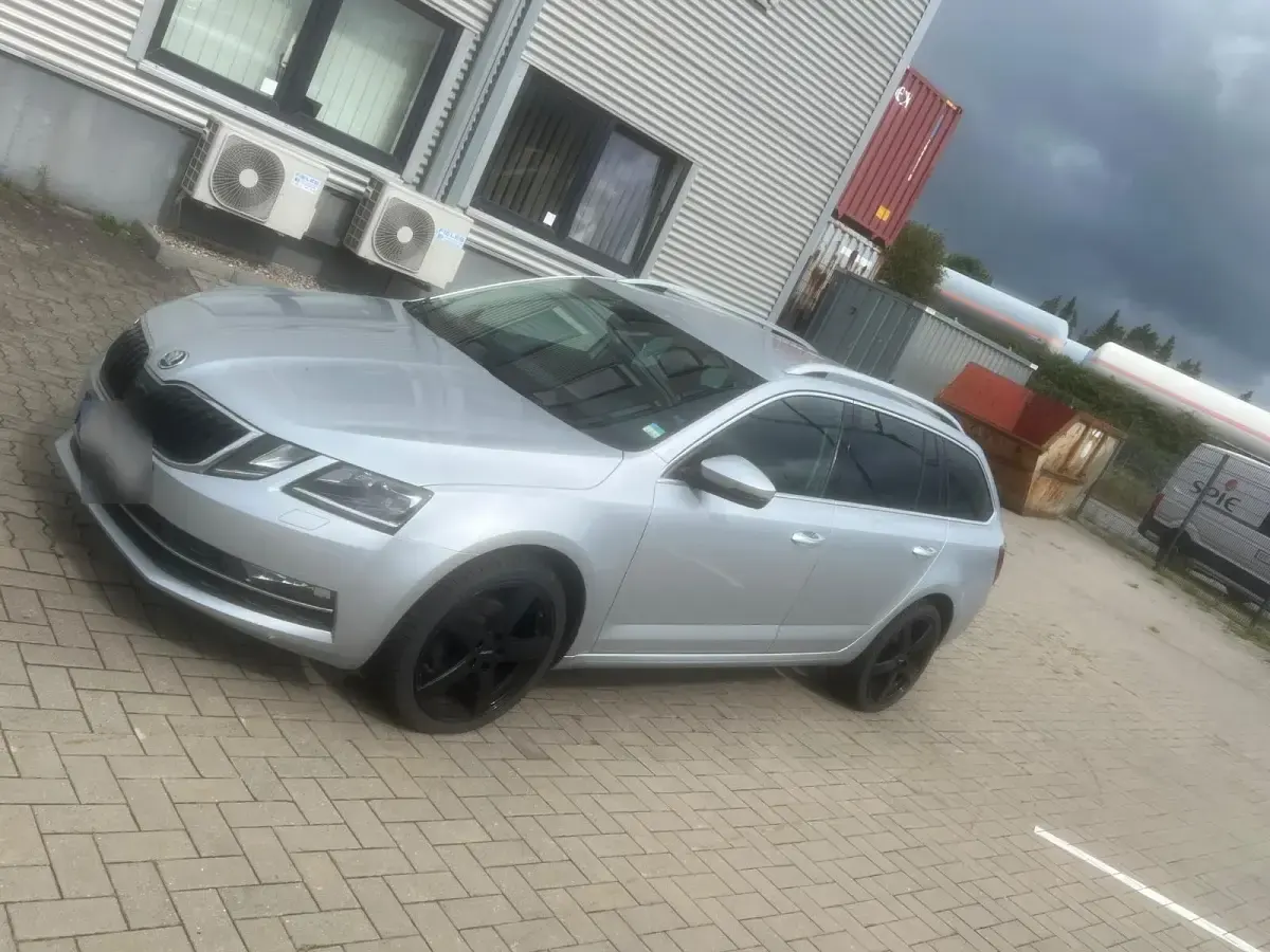 Gebraucht Skoda Octavia 116 PS (85 kW) 2018 Silber Kombi