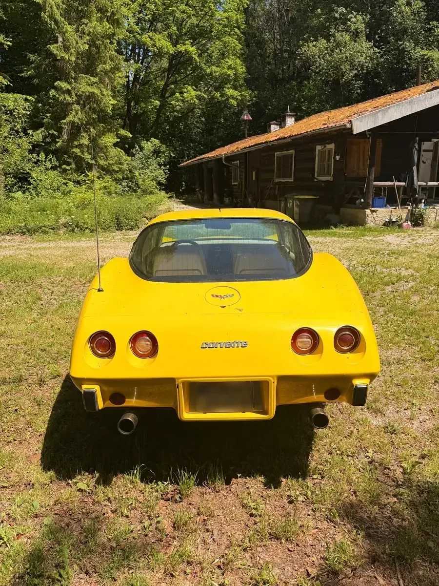 Gebraucht Corvette Stingray 240 PS (176 kW) 1979 Gelb Cabrio
