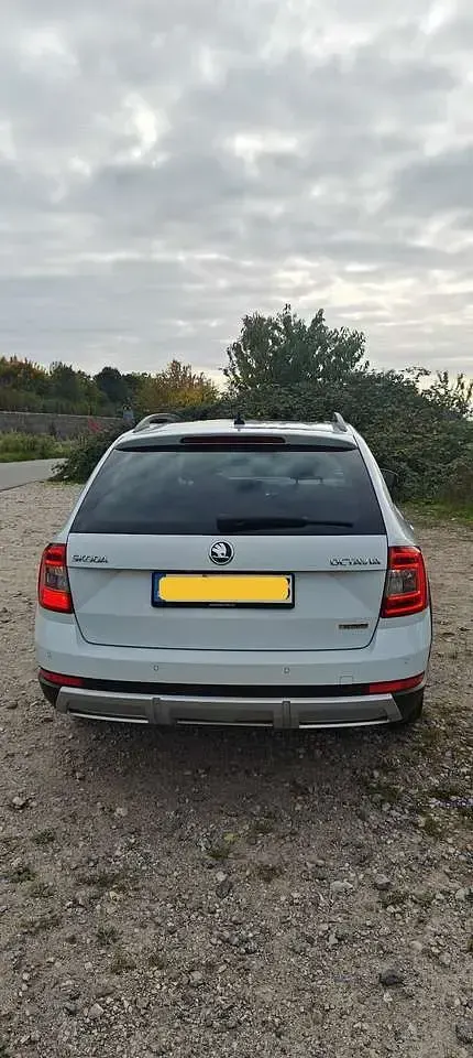 Gebraucht Skoda Octavia Scout Scout 4x4 184 PS (135 kW) 2016 Weiß Kombi