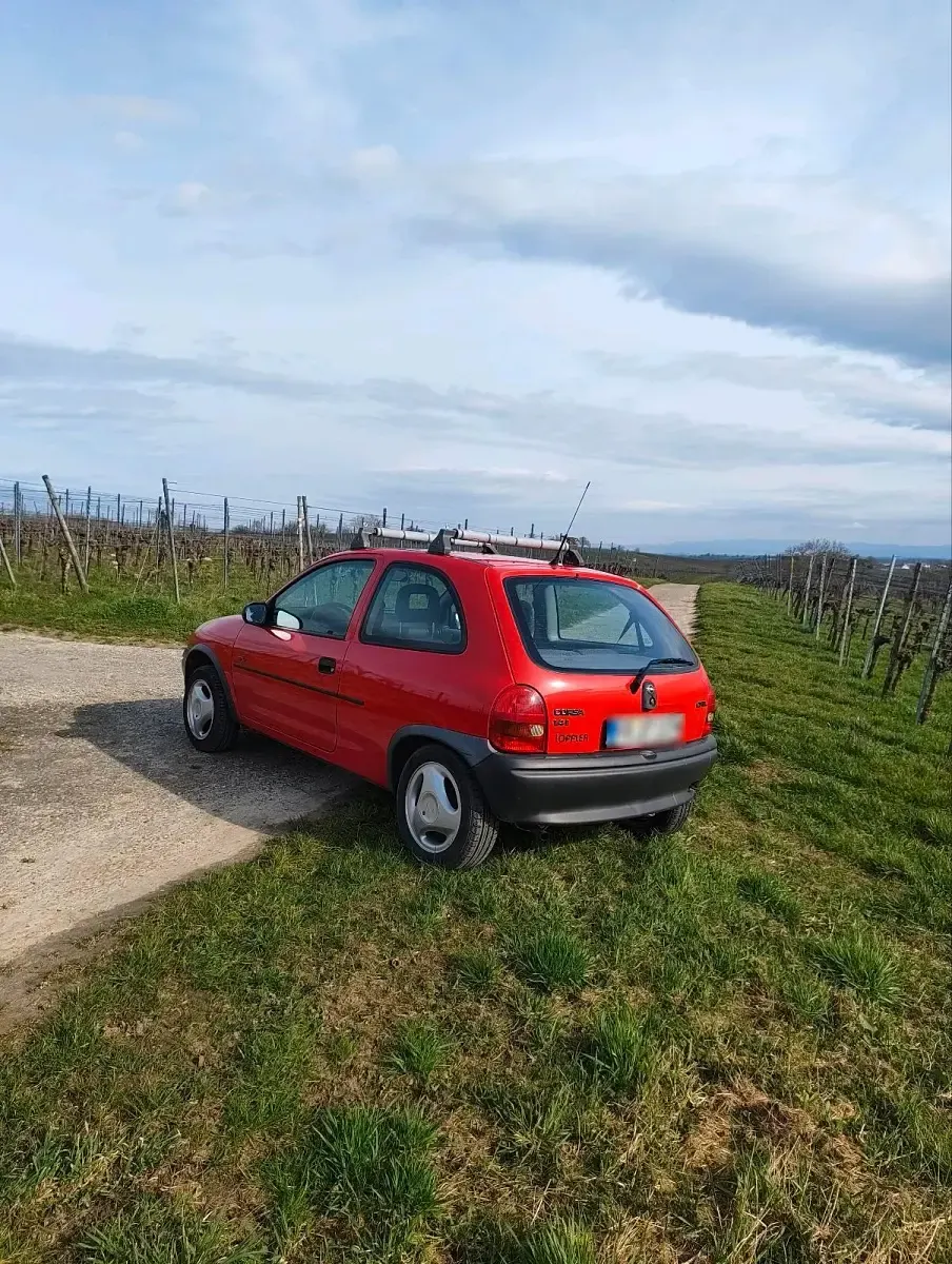 Gebraucht Opel Corsa 60 PS (44 kW) 1992 Rot Kleinwagen