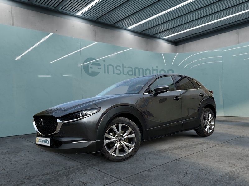 Gebraucht Mazda CX-30 Selection 150 PS (110 kW) 2020 Grau SUV