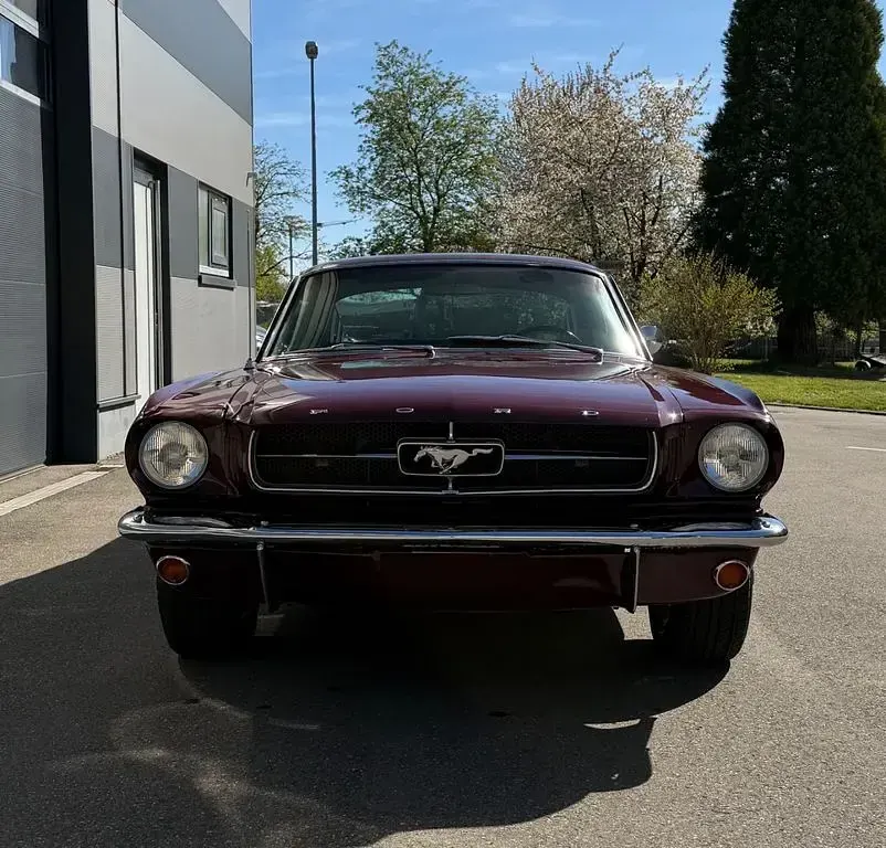 Używany Ford V8 Fastback 203 KM (149 kW) 1965 Czerwony