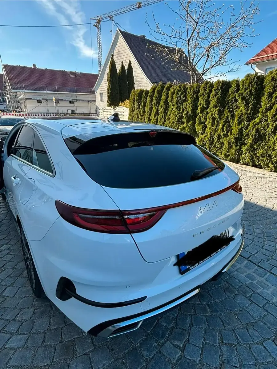 Gebraucht Kia ProCeed GT-Line 144 PS (105 kW) 2024 Weiß Kombi