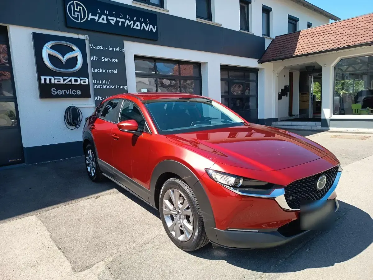 Gebraucht Mazda CX-30 Selection 122 PS (89 kW) 2020 Rot SUV