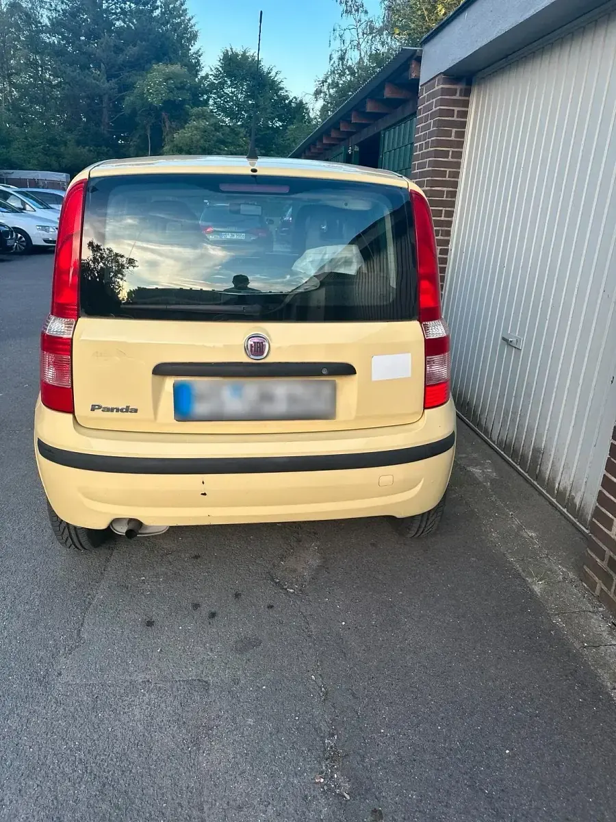 Gebraucht Fiat Panda 54 PS (39 kW) 2009 Gelb Kleinwagen