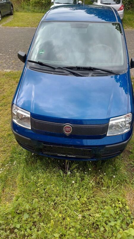 Gebraucht Fiat Panda 54 PS (39 kW) 2009 Blau Kleinwagen