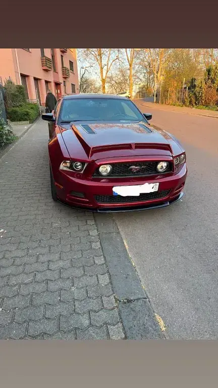 Gebraucht Ford Mustang 426 PS (313 kW) 2014 Rot