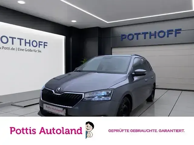 Gebraucht Skoda Fabia Best of 95 PS (69 kW) 2022 Kleinwagen