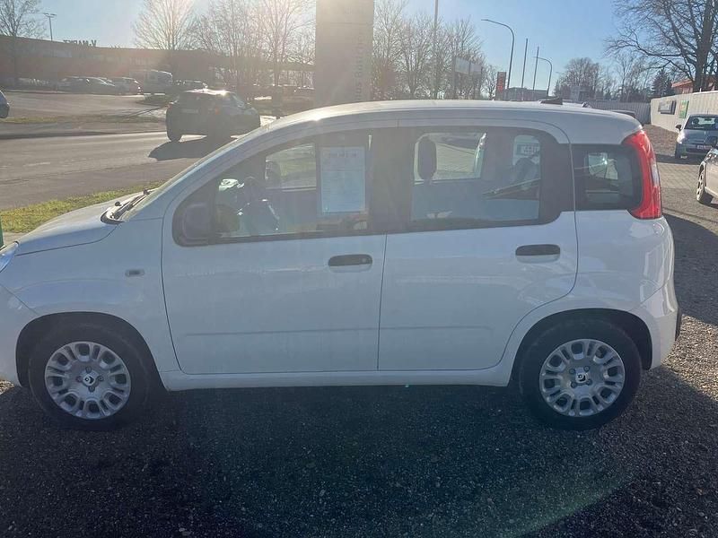 Nowe Fiat Panda Icon 69 KM (50 kW) 2025 Biały Kombi