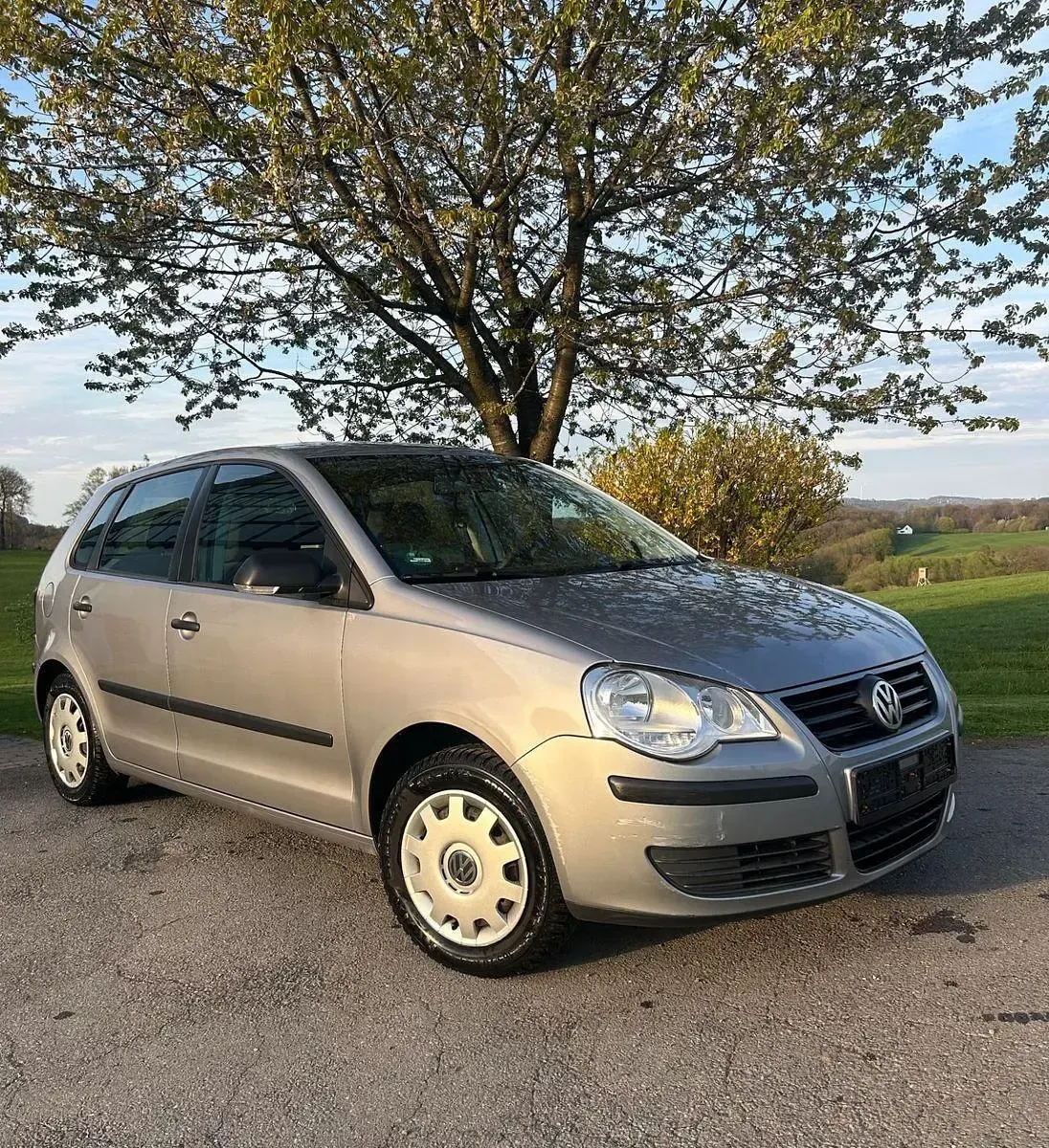 Gebraucht VW Polo Trendline 80 PS (58 kW) 2006 Silber Kleinwagen
