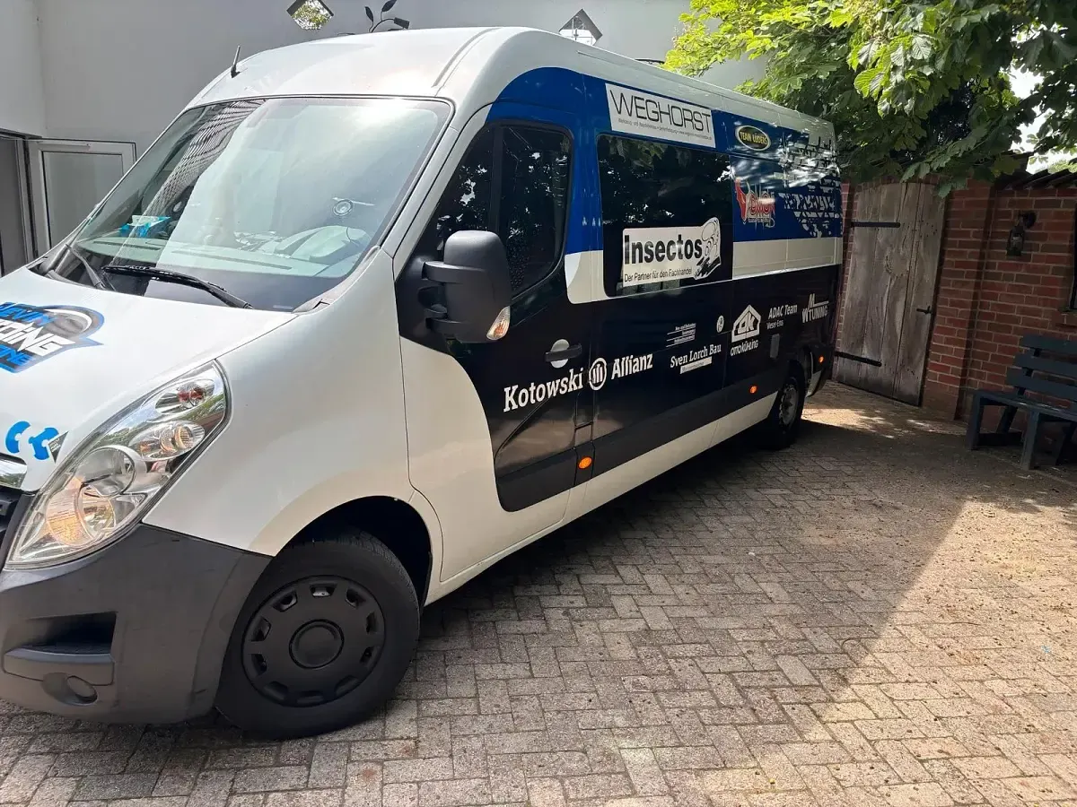 Gebraucht Opel Movano 125 PS (91 kW) 2016 Weiß Van / Kleinbus