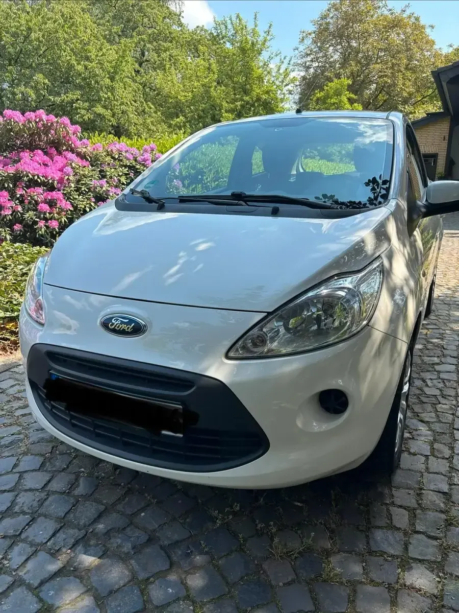 Gebraucht Ford Ka 69 PS (50 kW) 2016 Weiß Kleinwagen