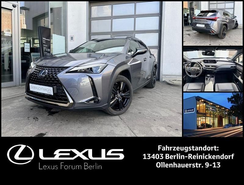 Gebraucht Lexus UX 250h 184 PS (135 kW) 2022 Grau SUV