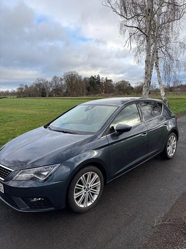 Gebraucht Seat Leon ST XCELLENCE 150 PS (110 kW) 2019 Grau Kombi