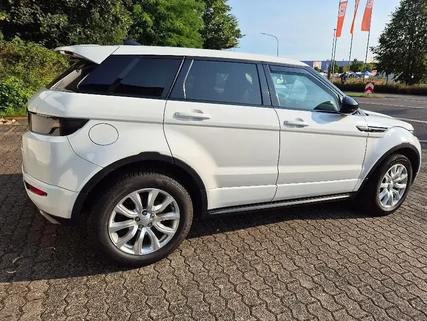 Gebraucht Land Rover Range Rover evoque SE Dynamic 150 PS (110 kW) 2017 Weiß SUV