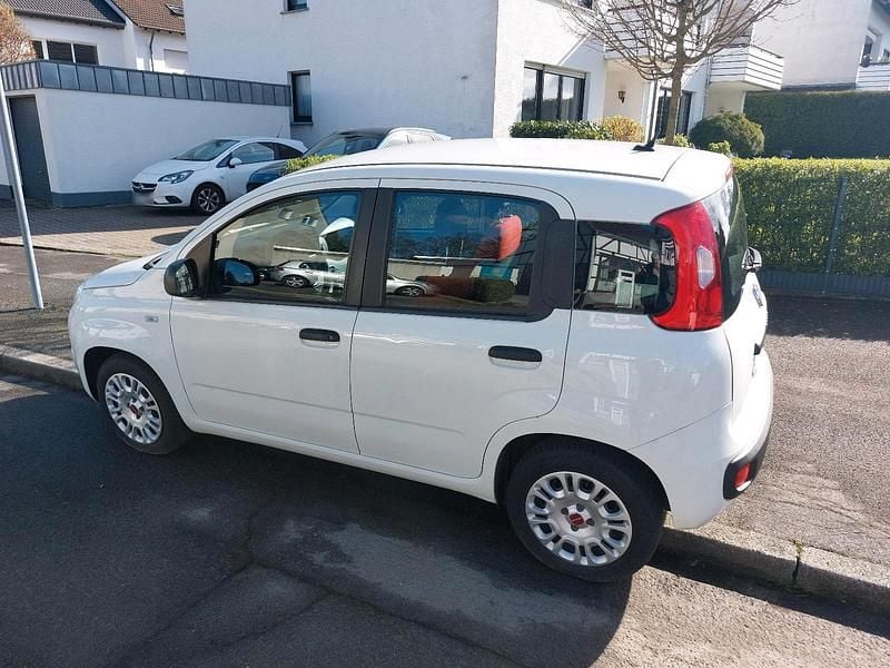 Gebraucht Fiat Panda 69 PS (50 kW) 2020 Weiß Kleinwagen