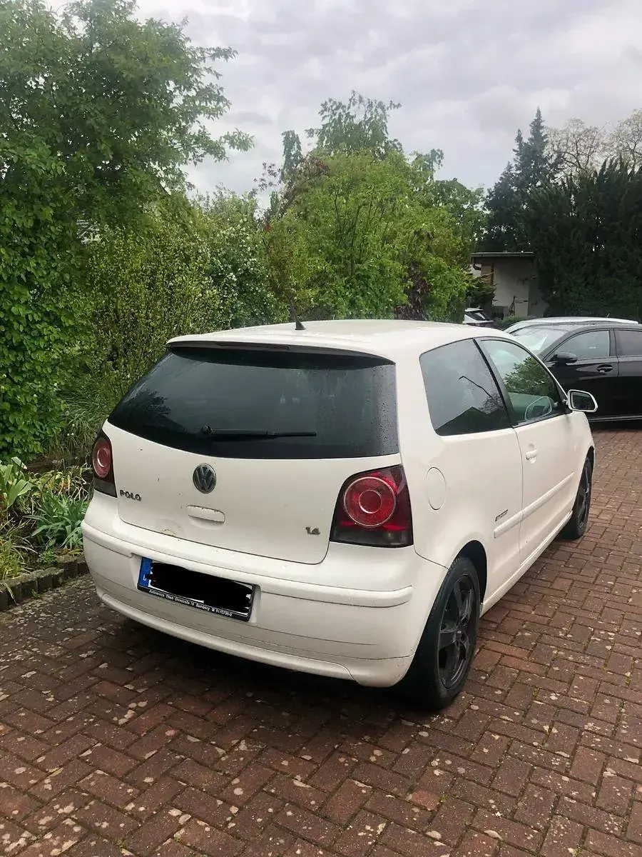 Usata VW Polo GT 80 CV (58 kW) 2008 Bianco Utilitaria
