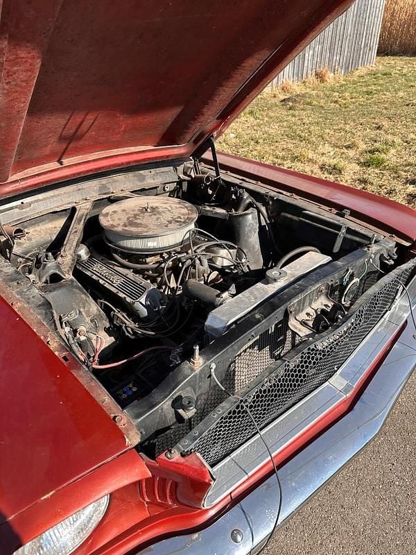 Gebraucht Ford Mustang 300 PS (220 kW) 1965 Rot Coupé