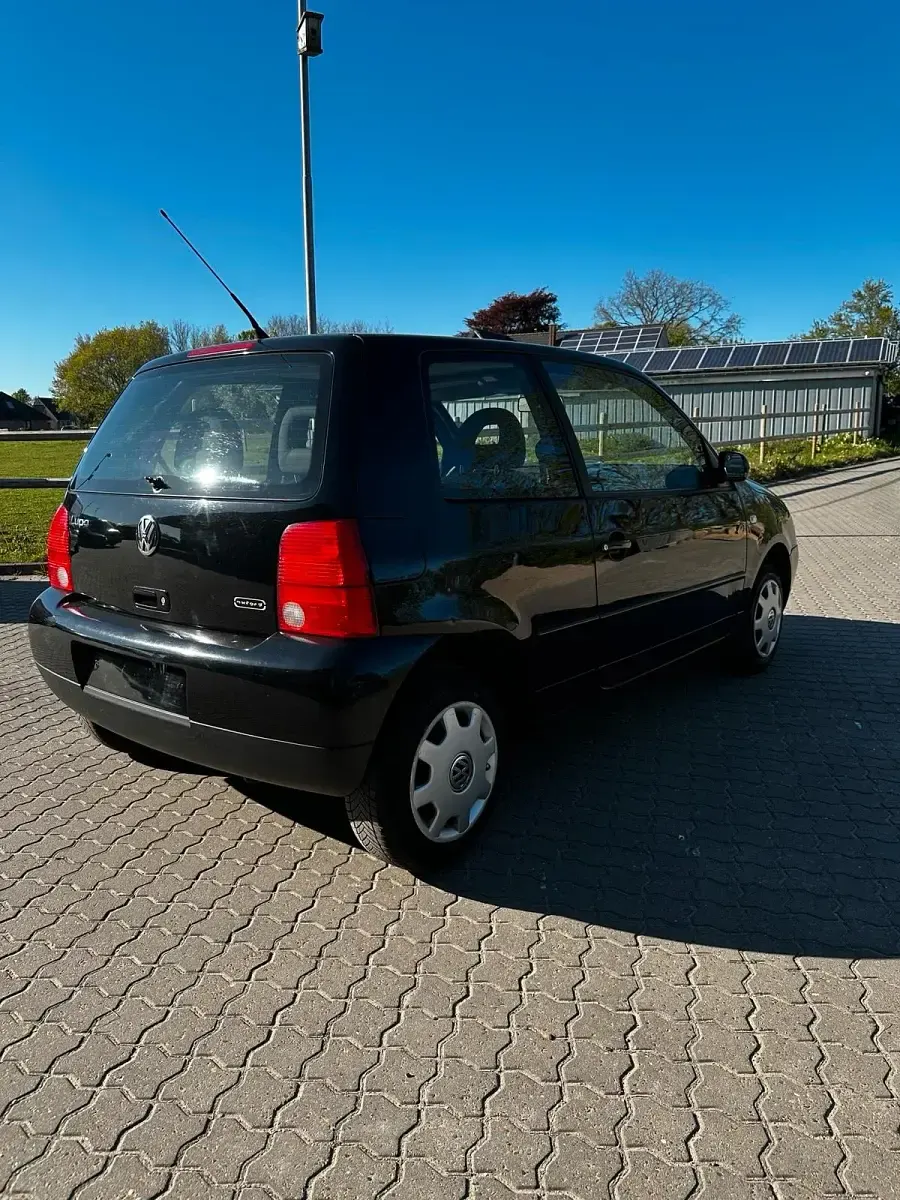 Gebraucht VW Lupo 50 PS (36 kW) 2003 Schwarz Kleinwagen