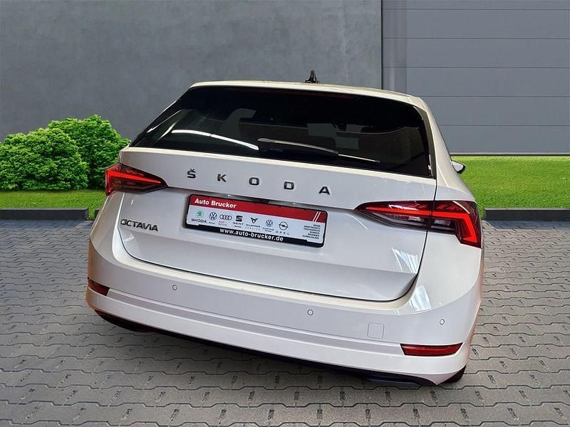Gebraucht Skoda Octavia First Edition 116 PS (85 kW) 2021 Weiss Kombi
